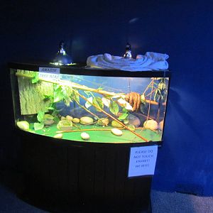 Free-standing terrarium