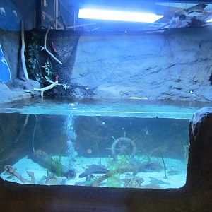 Coldwater Tank
