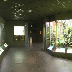 View through Vivarium