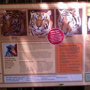 Tiger Enclosure Sign #2