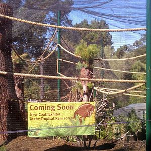 New Coati Exhibit #2