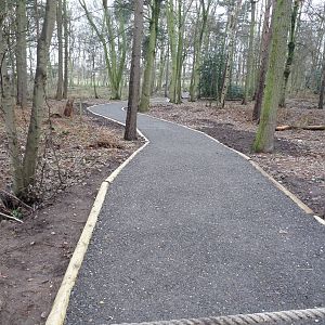 19/12/12 new path through woodland