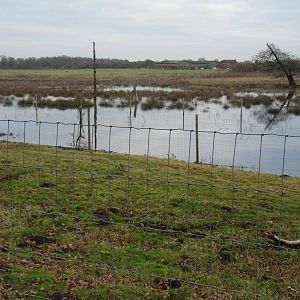 19/12/12 overly-wet marshland
