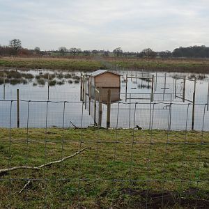 19/12/12 sitatunga enclosure