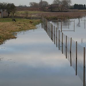 19/12/12 sitatungas temporarily moved?