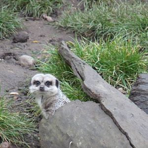 19/12/12 oh, it's you!