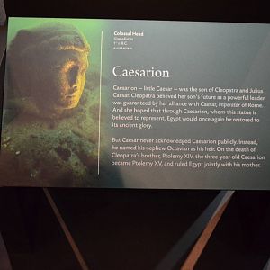 Cleopatra: The Exhibition - Caesarion