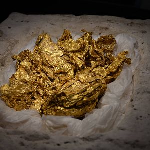 Cleopatra: The Exhibition - Gold