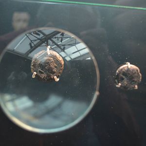 Cleopatra: The Exhibition