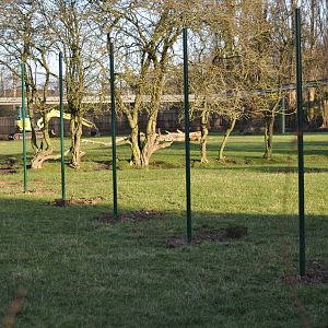 Former Sitatunga/Gemsbok Enclosure Changes