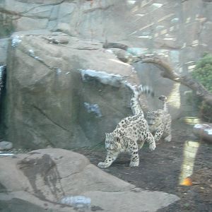 Sabu & Raj playing tag