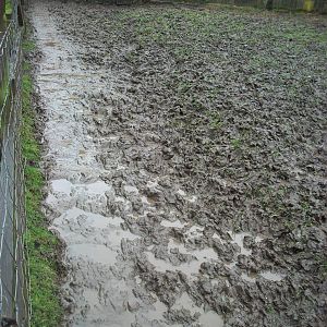 Sewerby Zoo, no winter wonderland - soggy instead 24th December 2012