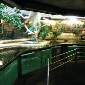 Nuernberg December 2012 - old manatee pool