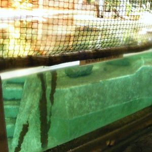 Nuernberg December 2012 - left part of old manatee pool