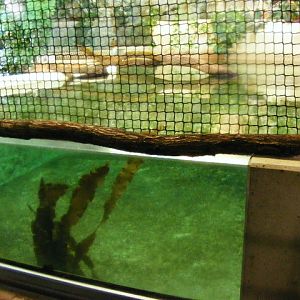 Nuernberg December 2012 - right part of old manatee pool