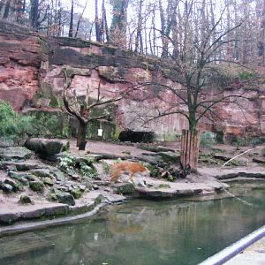 Nuernberg December 2012