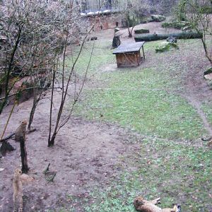 Nuernberg December 2012 - Cheetah enclosure