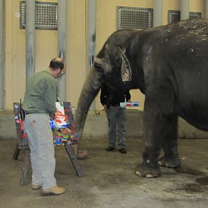Mai-Thai Picking Up Treats