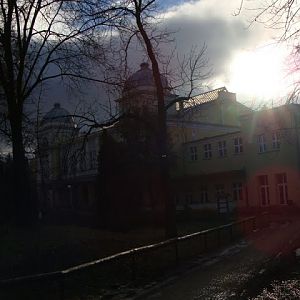 Building of the terrarium