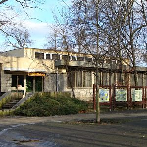 Building of anthropoid apes