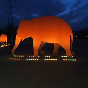 Elephant and Rhinoceros sculptures in the dark