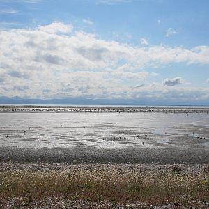 Overview - Miranda 2012