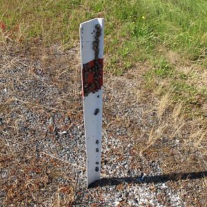 Snail Colony - Miranda 2012