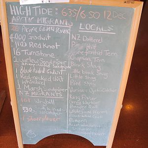 Bird List - Miranda 2012