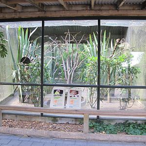 Parakeet & Pygmy Marmoset Aviary - Hamilton Zoo 2012