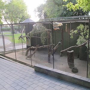Salmon-Crested Cockatoo Aviary - Hamilton Zoo 2012
