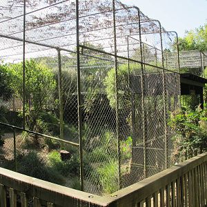Serval Cage - Hamilton Zoo 2012