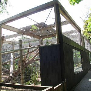 Fishing Cat & Siamang Cages - Hamilton Zoo 2012