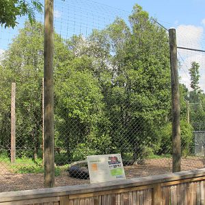 New Sumatran Tiger Enclosure - Hamilton Zoo 2012