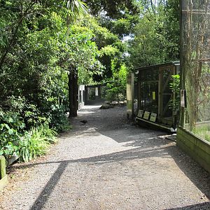 Weka Walk - Hamilton Zoo 2012
