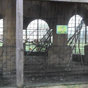 Winter housing for Egrets and Ibises 27th December 2012