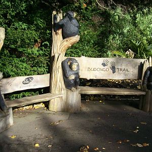 bench outside budongo trail