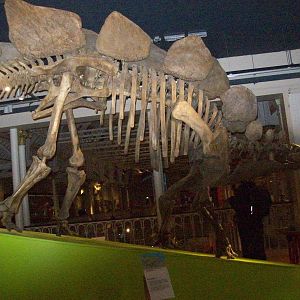 national museum of scotland