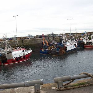 macduff aquarium