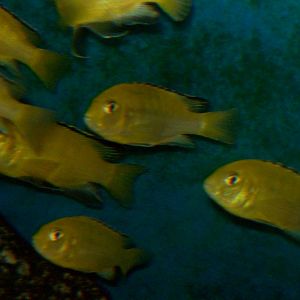 r.i.p. to the former reptile house