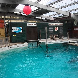 Where Cuddles once cavorted 27th December 2012