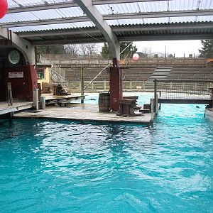 Where Cuddles once cavorted 27th December 2012