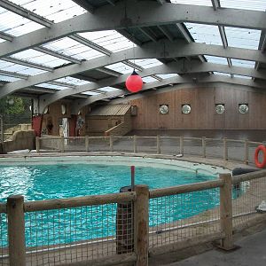 Where Cuddles once cavorted 27th December 2012