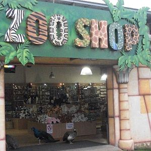 Unusual customers in the gift shop 27th December 2012