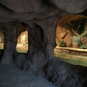 New reptile exhibit 27th December 2012