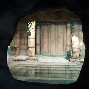 New reptile exhibit 27th December 2012