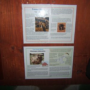 View of signs for a new mixed exhibit in the primate house
