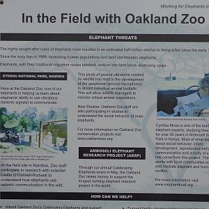 Mahali Pa Tembo Signage #1