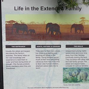 Mahali Pa Tembo Signage #2