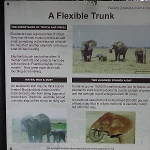 Mahali Pa Tembo Signage #3