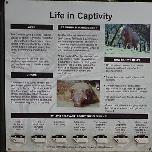 Mahali Pa Tembo Signage #4